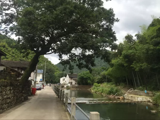 宁波市鄞州区城杨村图片