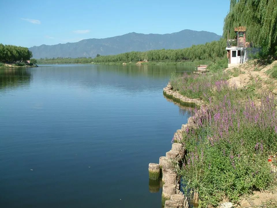 上庄水库湿地公园图片