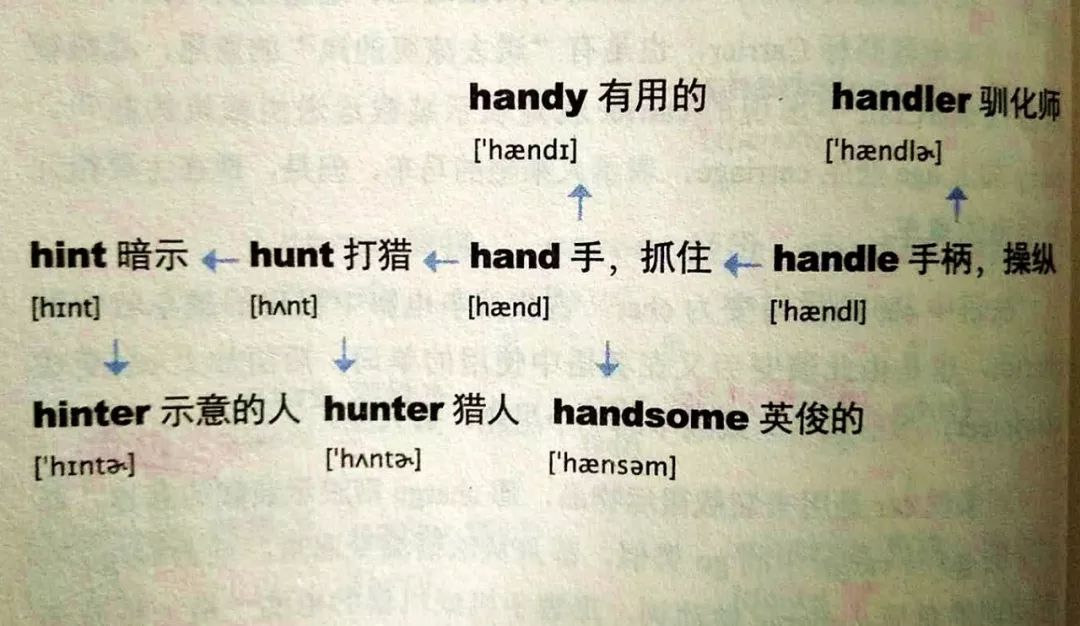 handsomedancer图片