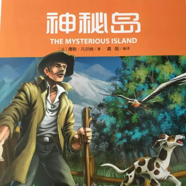 神秘岛动画片国语版图片