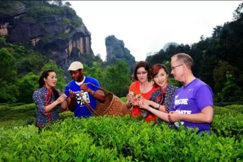 (早餐)d3早餐後遊覽【中華武夷-茶博園】武夷山茶博園位於大王峰對面