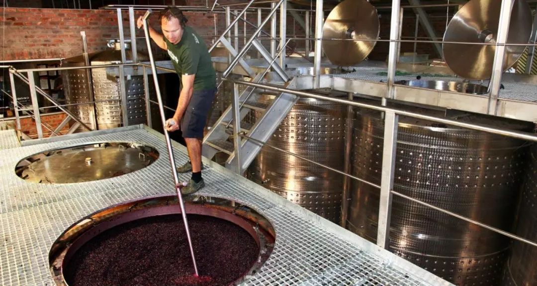 史上最全葡萄酒酿造过程附高清实景图