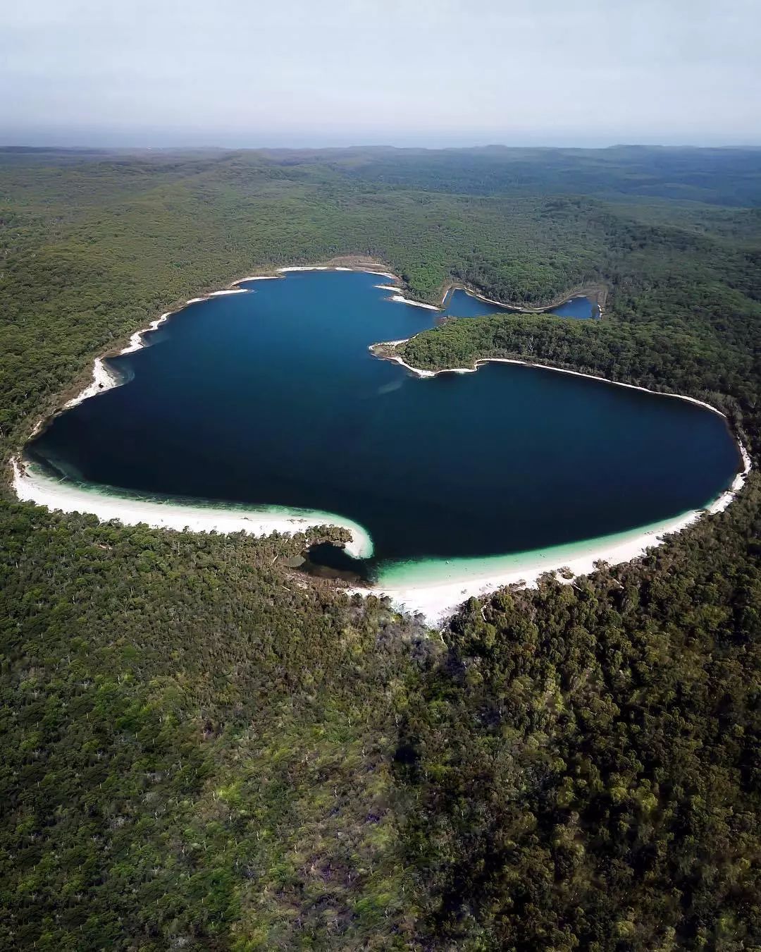 麦肯锡湖:在世界上最干净的湖泊泡个美容浴 lake mckenzie