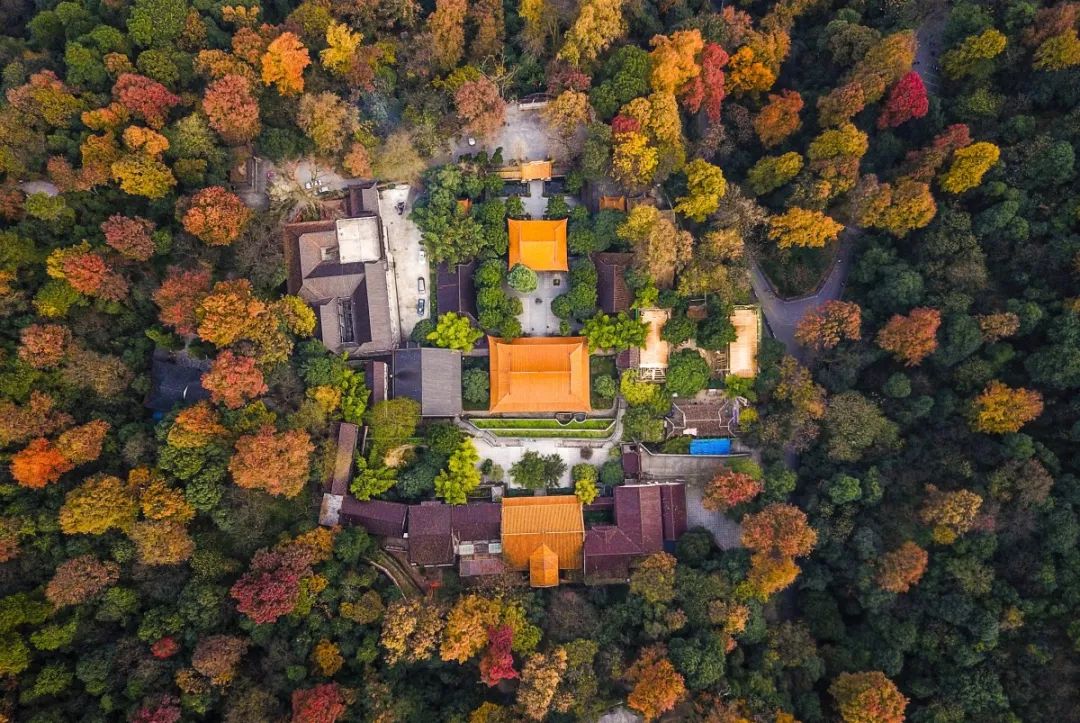 最近天气回暖,春风习习,岳麓山正当春景,就算不用航拍也是美不胜收.