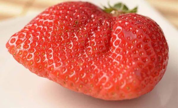 草莓上市,当心吃到激素草莓,这5种千万别买!