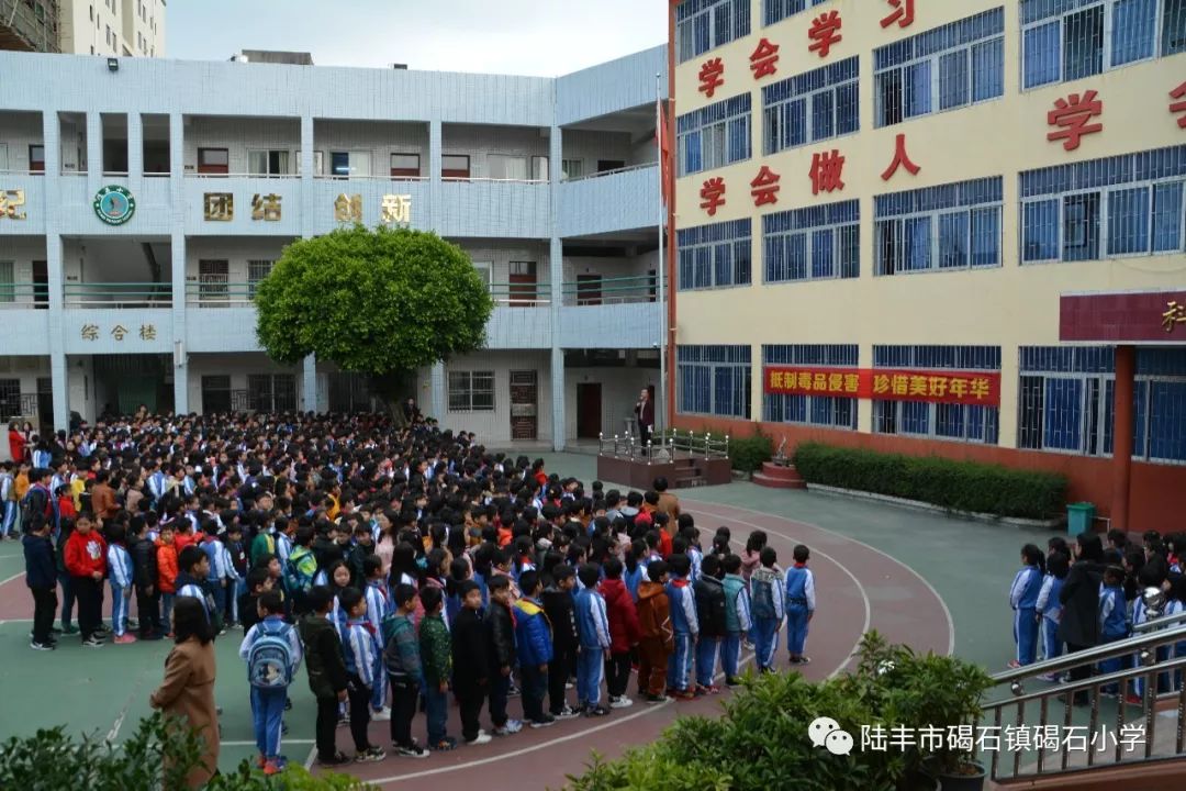 碣石镇中心小学图片图片