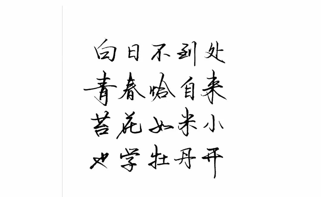 练字作业苔米如花青春是诗