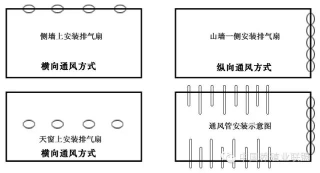 2 通风小窗,规模较大鸡舍比较常见.