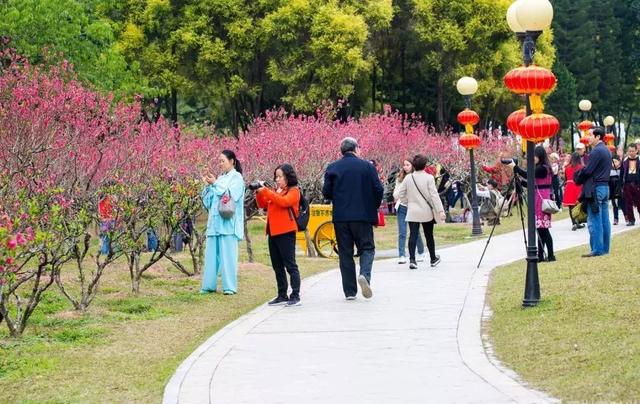 夭夭桃林葉蓁蓁回深咱約一波桃花但切勿採花哦