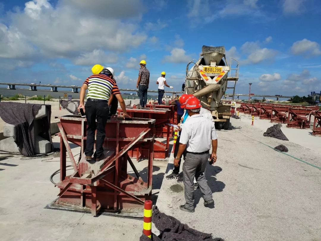 中交天健-深圳機場三跑道擴建工程陸域形成及軟基處理工程信義集團