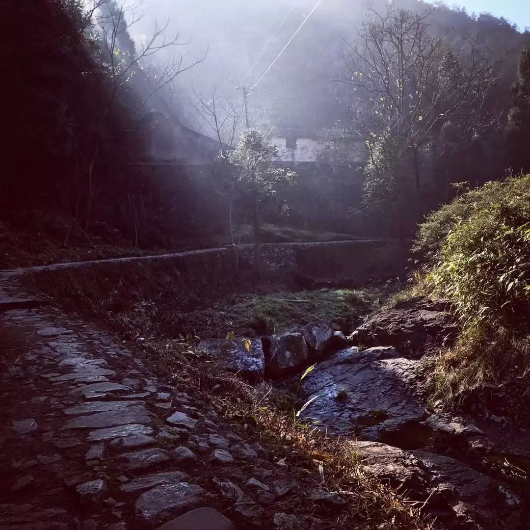 梦想季隐士山谷图片