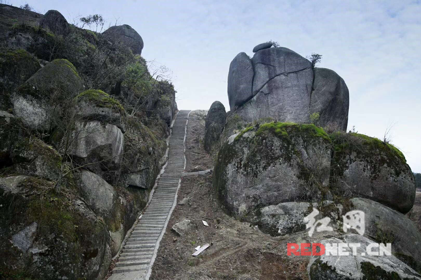 隆回白马山国有林场获评全省秀美林场