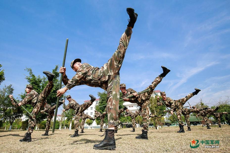 队伍
健身武术（队伍
健身武术有哪些）《健身队伍简介怎么写》