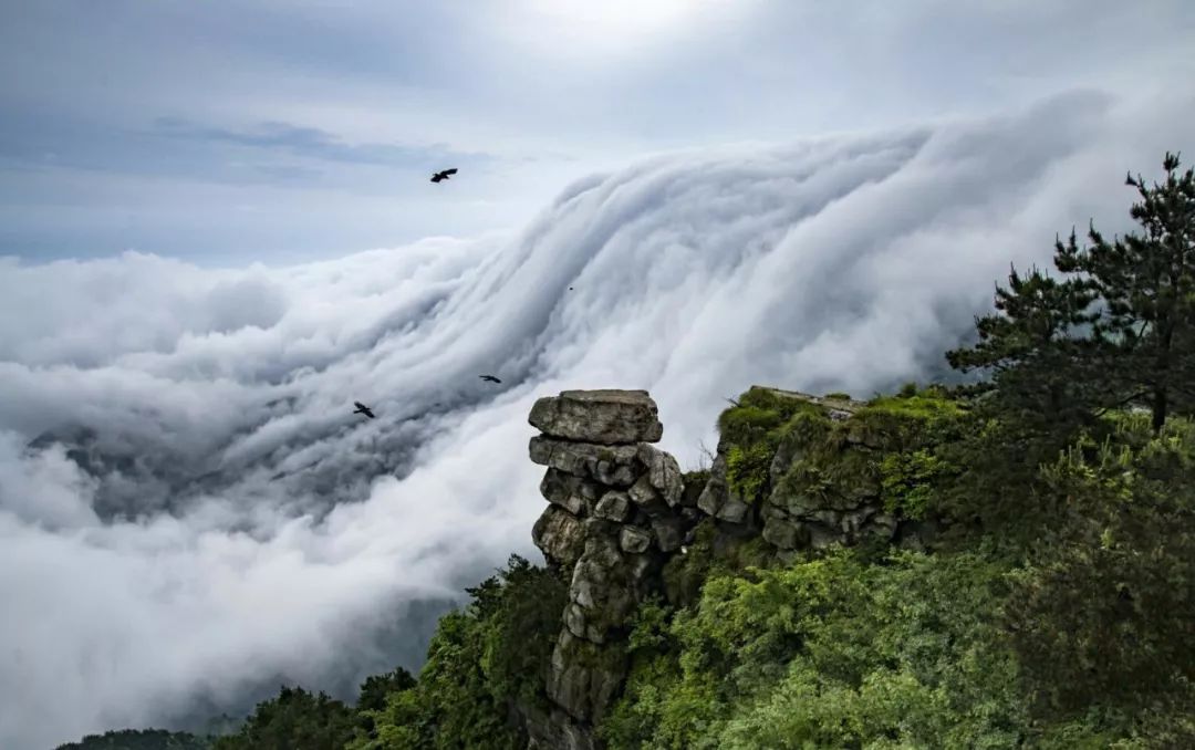 【旅遊】春風醉人,最美的廬山雲霧來了!