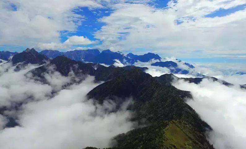 海拔3350米,它是龍門山前山的最高峰,因此,頂峰視野極其廣闊,可觀九峰