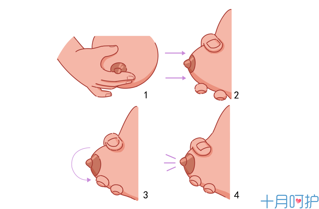 挤奶的正确手法手动图片