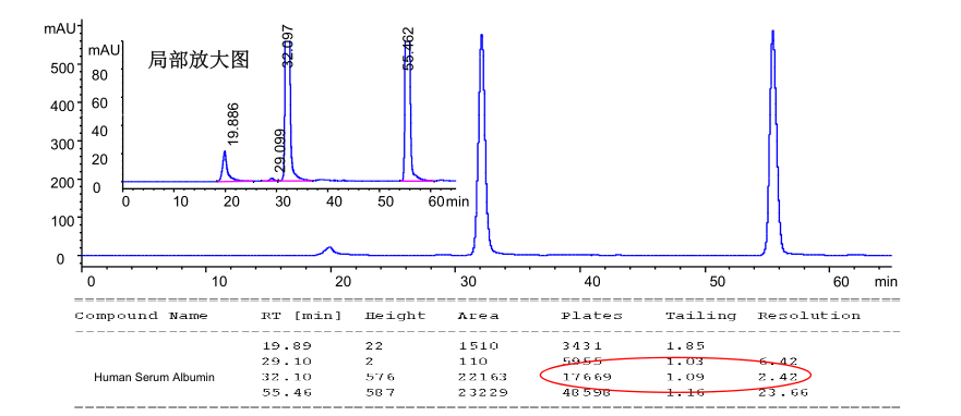 人血白蛋白单体峰和二聚体峰间的 分离度应大于1.