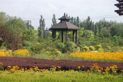 6.南寨公園擴建2000多畝