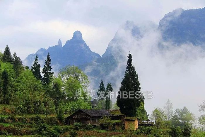 我去過宣恩七姊妹山遍佈螞蝗的巴山坪,去過巴東最北的小神農架,去過