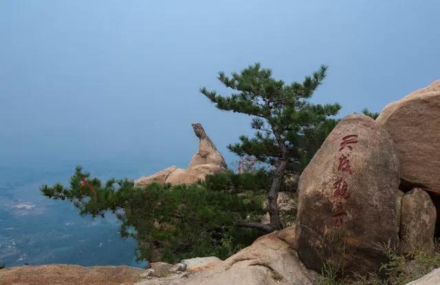 慶祝女王節,泰安新泰蓮花山免費啦!