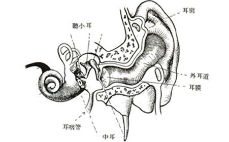 中耳炎有哪些分類和症狀