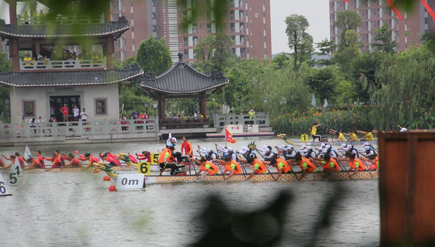 【活動】寶馬車隊遊麻涌,種草莓看龍舟