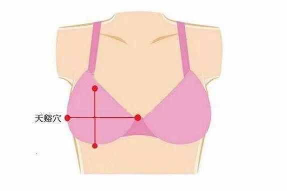 穴位按摩有奇效,免費豐胸方法全攻略!丨女士專區