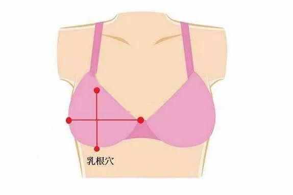 乳根穴【功效】:丰胸美肌,刺激膻中穴是最直接地激活雌性激素的分泌