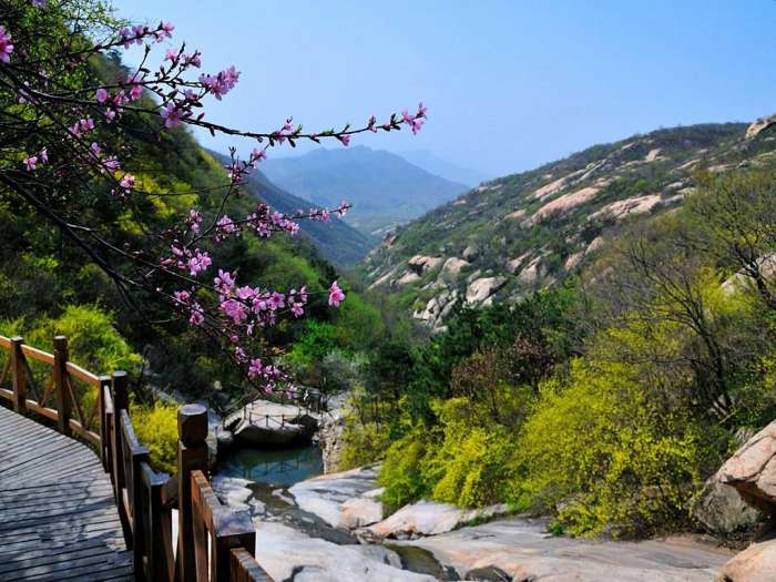 南阳哪些景点免门票图片