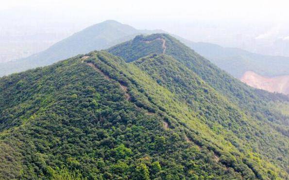 杭州黄鹤山图片