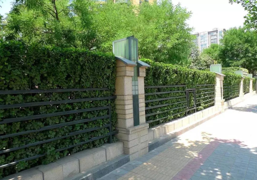 小区一楼绿篱式围墙图片