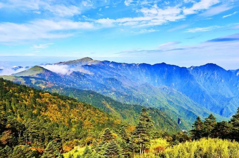 神農架地處湖北省西北部,因華夏始祖炎帝神農氏在此搭架採藥而得名,是