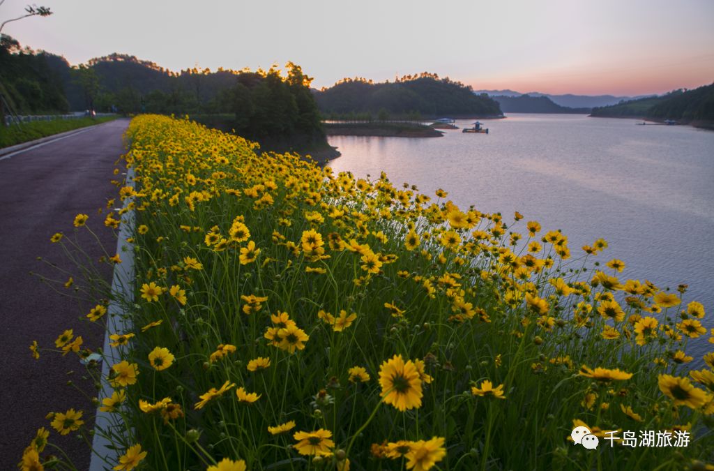 资中千岛湖花湖图片