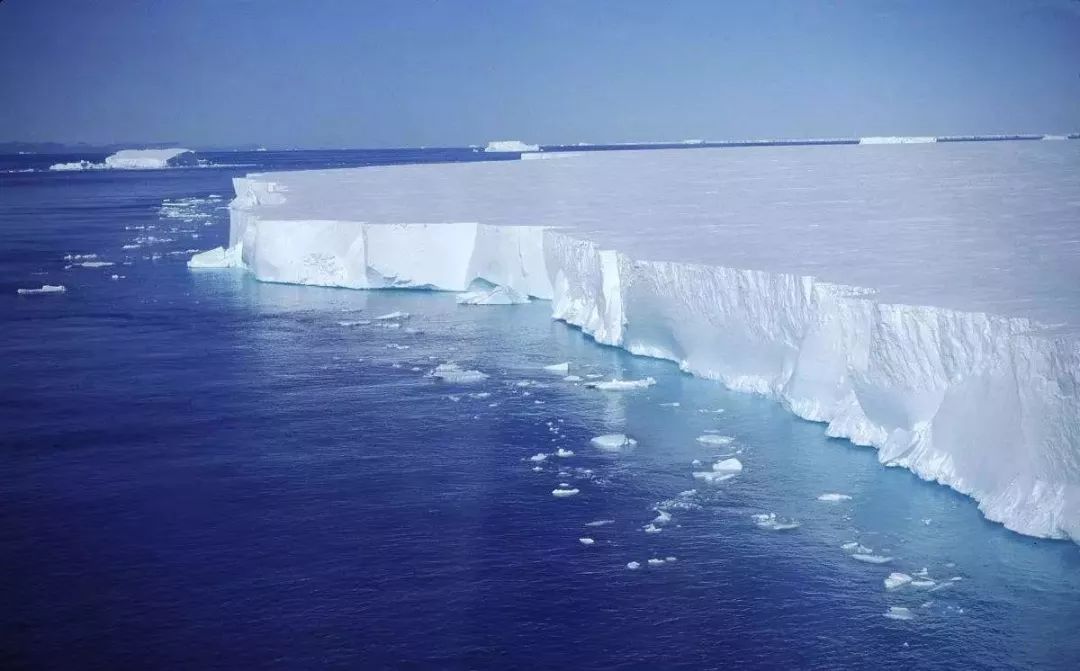 人体肠道菌群可影响情绪行为,南极罗斯冰架冻结引发科