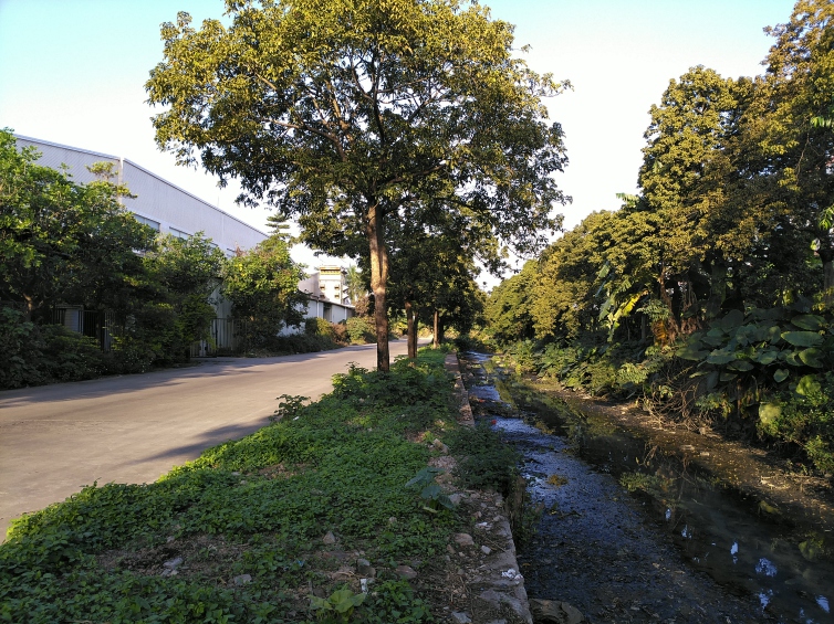 低涌村图片