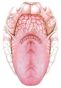 治疗舌癌的4种最常见方法