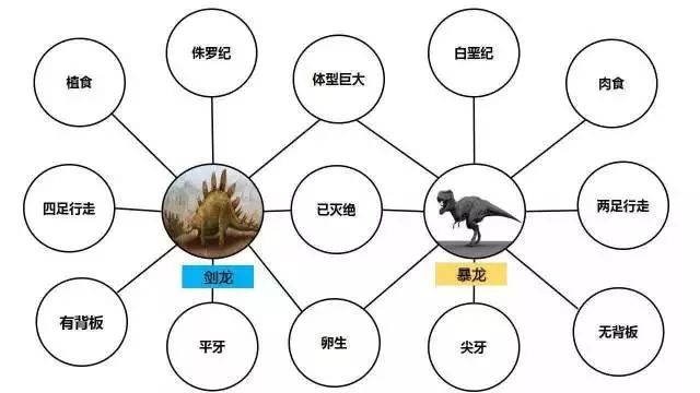 恐龙变成鸟的思维导图图片