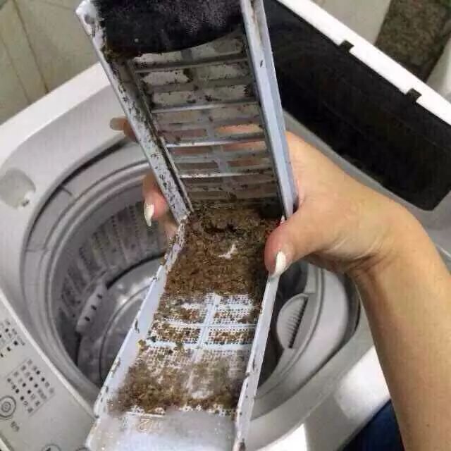 洗衣机比马桶还要脏100倍?你家洗衣机的秘密在此