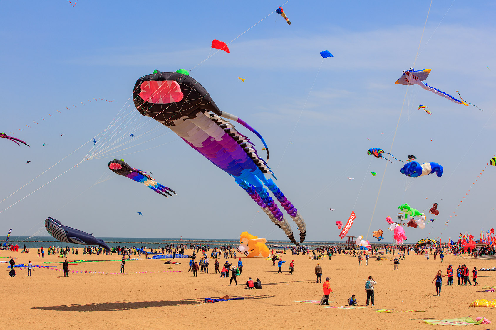 第35届潍坊国际风筝会将于4月21日在滨海开幕