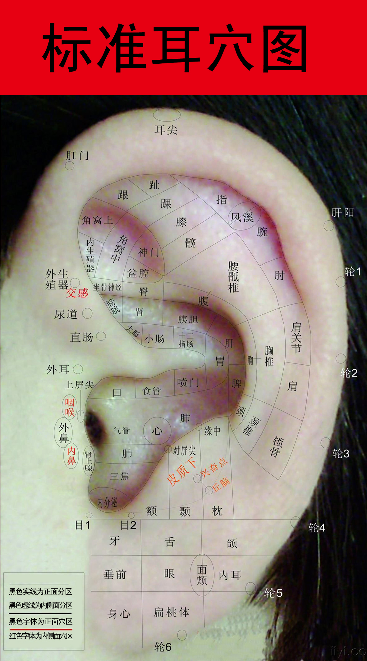 2018第一期专业耳穴暨眼保健技术培训班