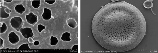 左:煅烧硅藻土分子结构;右:非煅烧硅藻土分子结构非煅烧与煅烧硅藻土