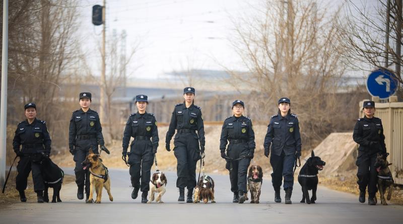 北京女子警犬队图片