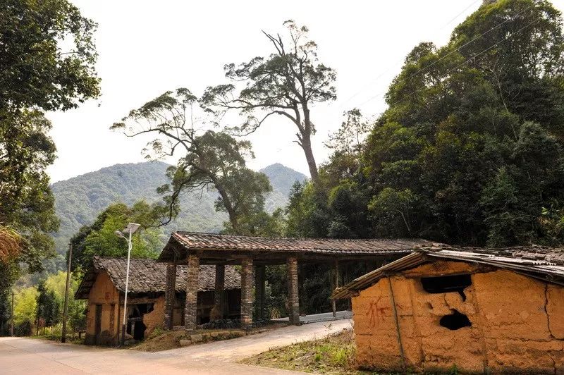 尤溪县西城镇秀村,原名小村,位于尤溪县西北部,海拨420米,山高水清,旧