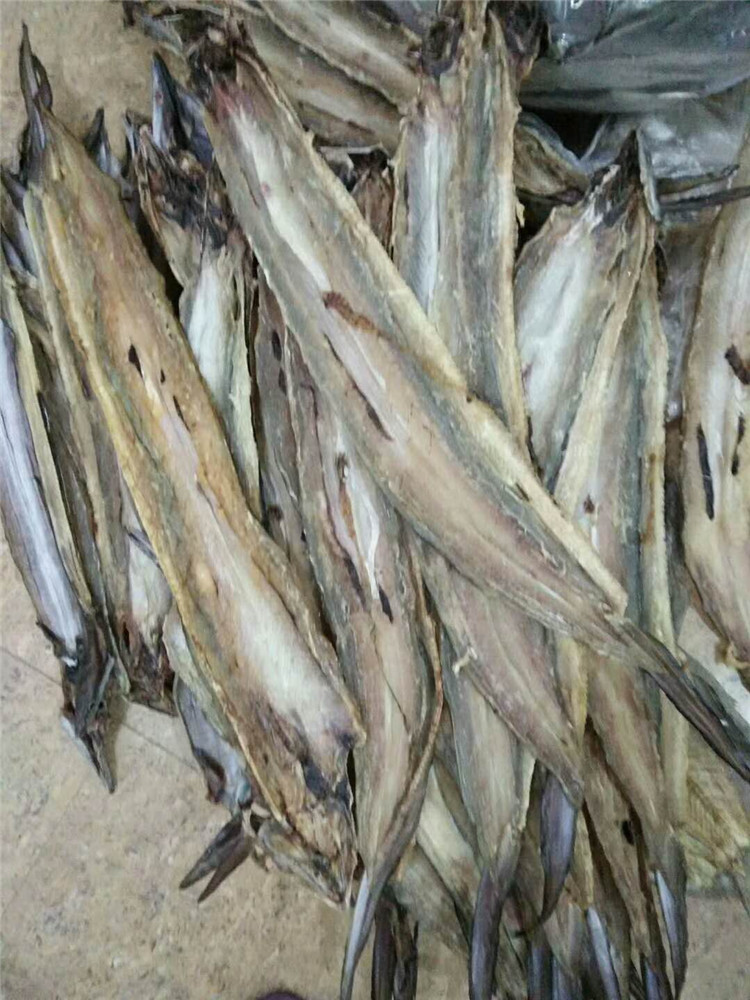 食用野生白鰻魚乾重點是補氣 東山島野生海鮮