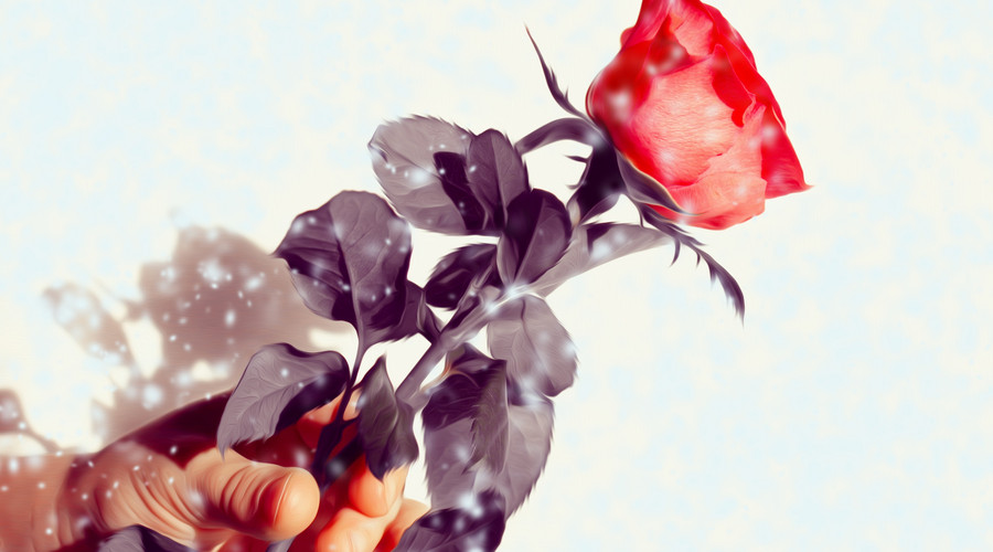 阿司匹林芬芳绚丽带刺的玫瑰心血管领域救命药物排行榜二