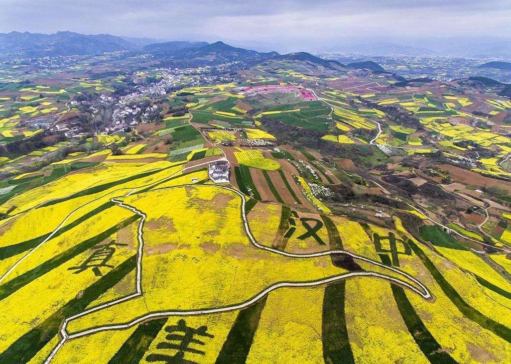 所有观花点免费开放2018汉中油菜花节将于3月18日在勉县开幕