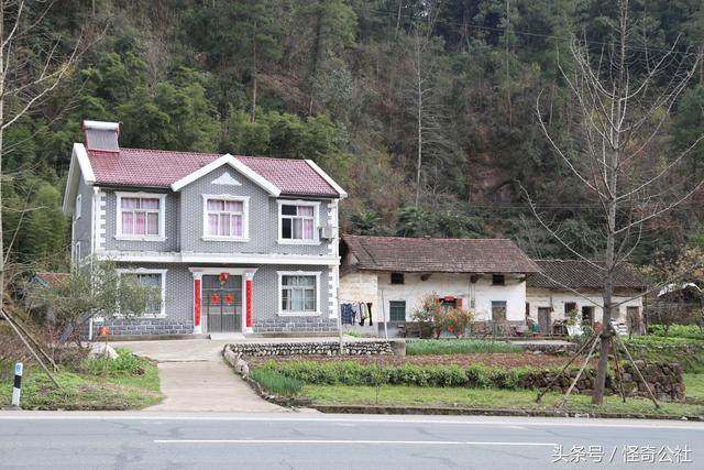 湖北远安:花林寺农民住房"花,靠山临路风光好