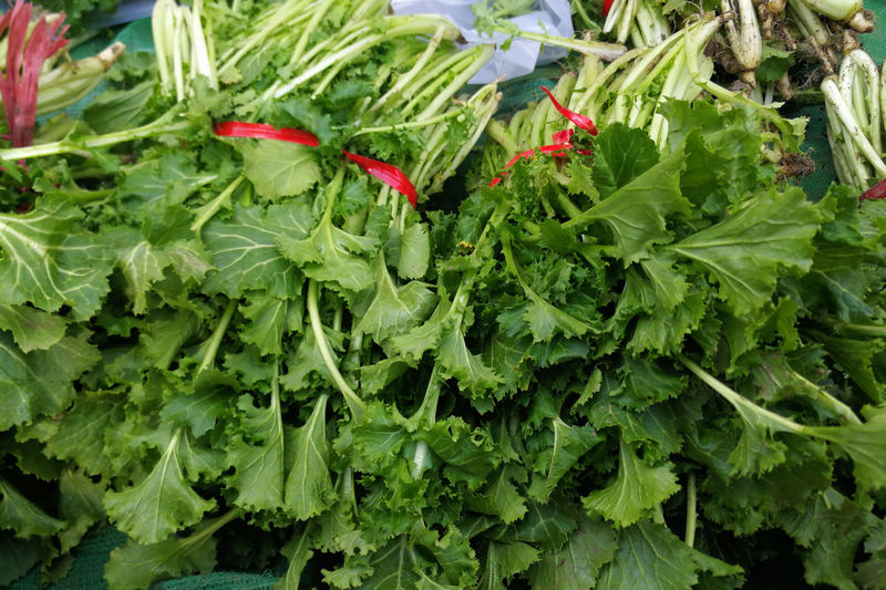 還有這接近野菜的苔菜,2塊錢一斤,也就這個時候吃,再過幾天就老了.