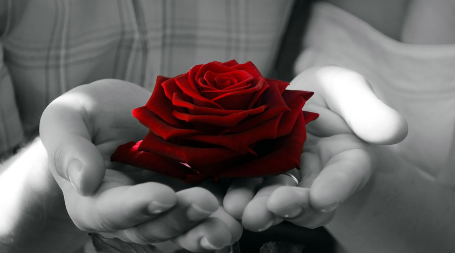 阿司匹林芬芳绚丽带刺的玫瑰心血管领域救命药物排行榜二