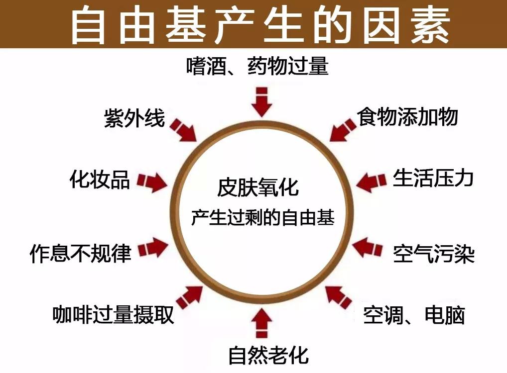 抗氧化自由基神话陨落保健品带有这个标签都是坑